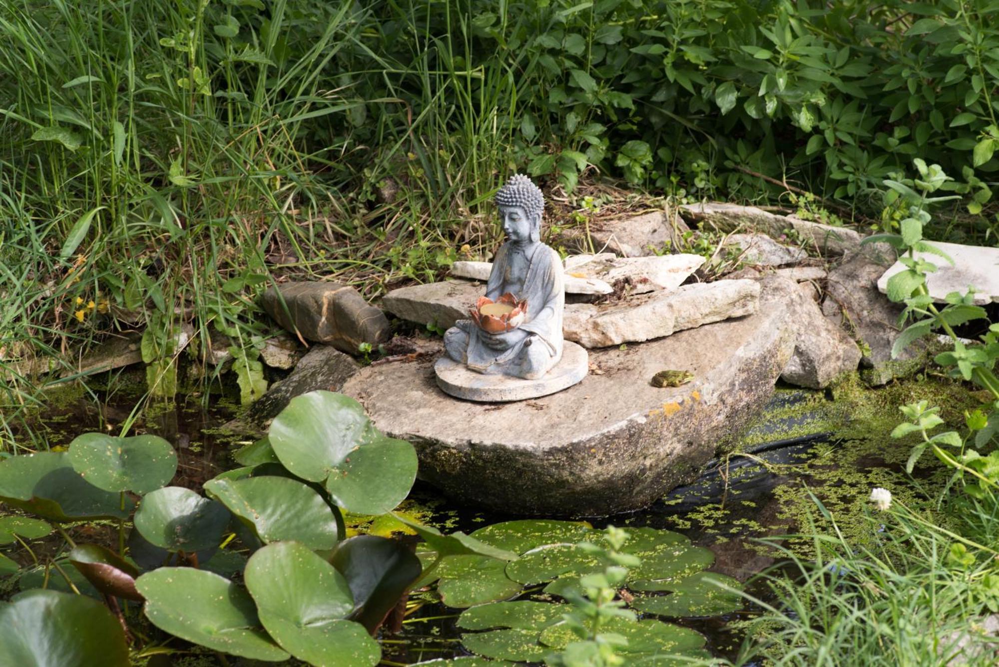 Casa Spa D'Alma Monchique Kültér fotó