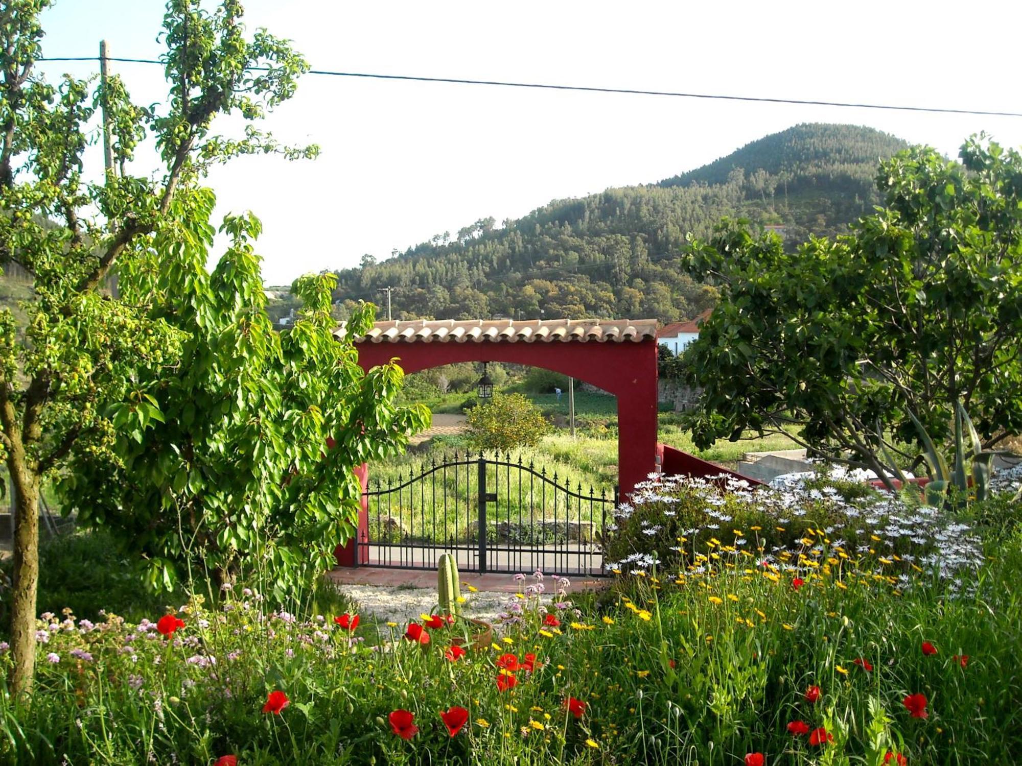 Casa Spa D'Alma Monchique Kültér fotó