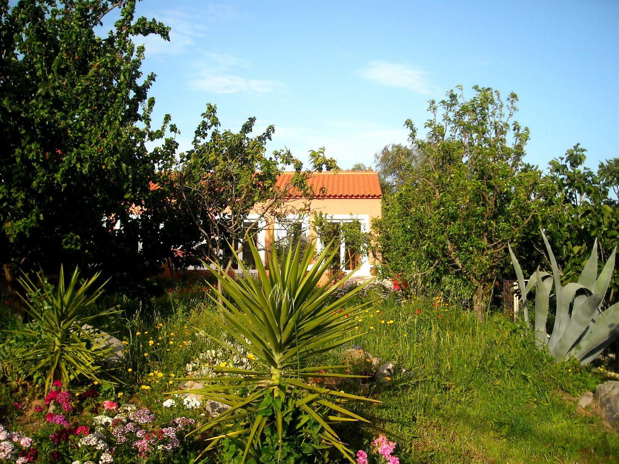 Casa Spa D'Alma Monchique Kültér fotó